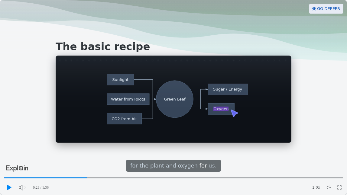 An explainer slide titled 
